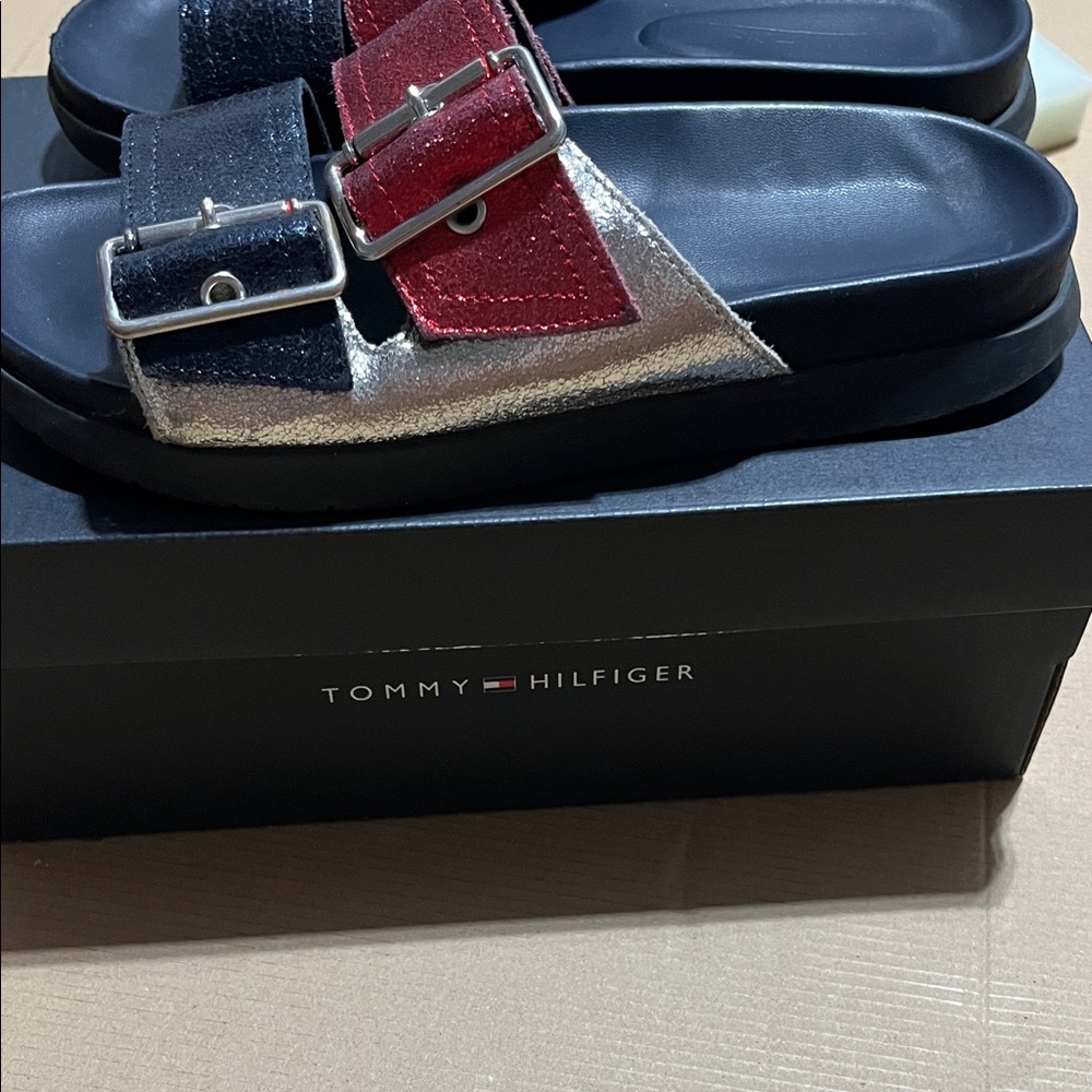 Tommy Hilfiger Men's Tri-Color Slide Sandals